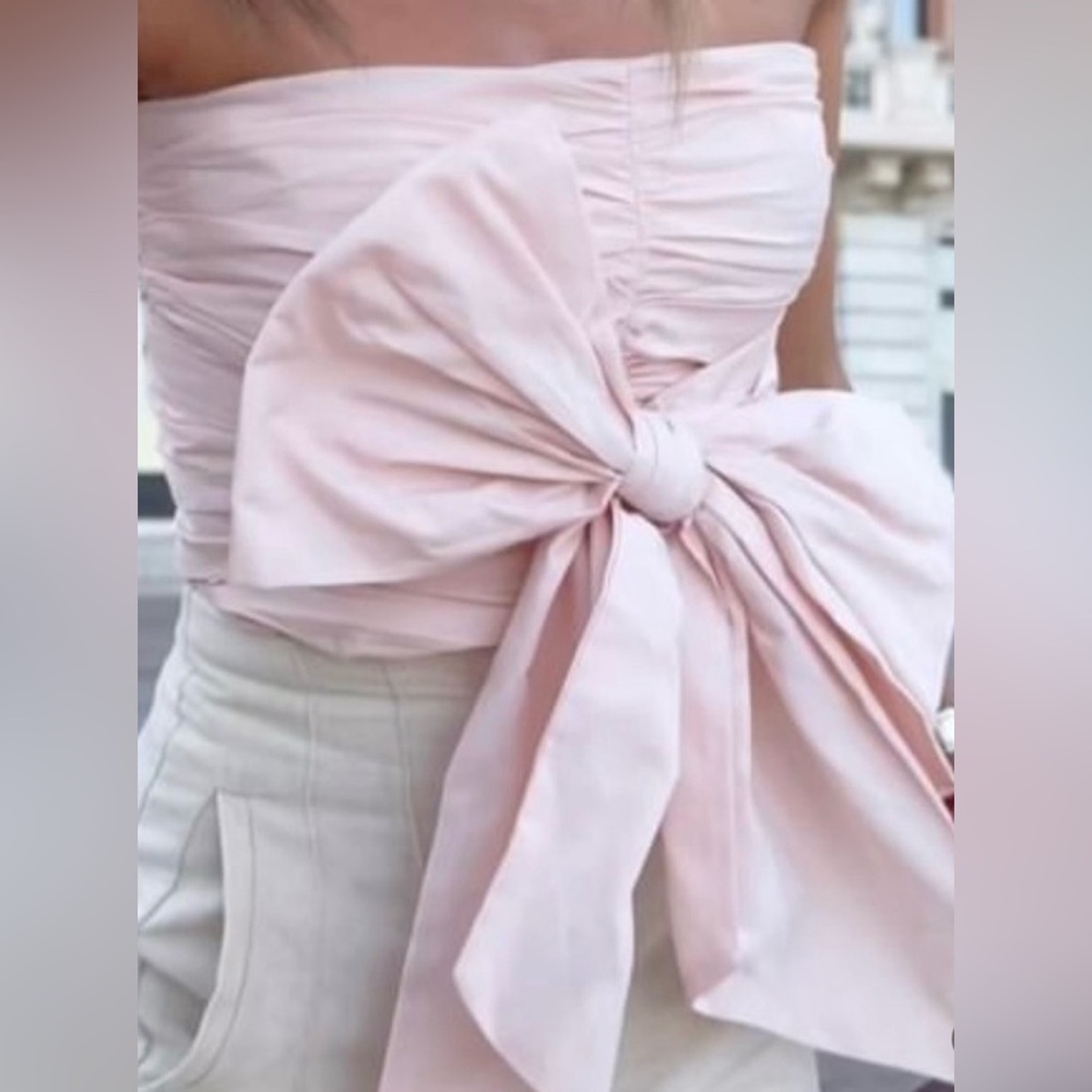 Zara Front Bow Tube Corset(Top)